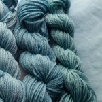 Colorant naturel à l'extrait de jasmin du Cap, 1 oz.